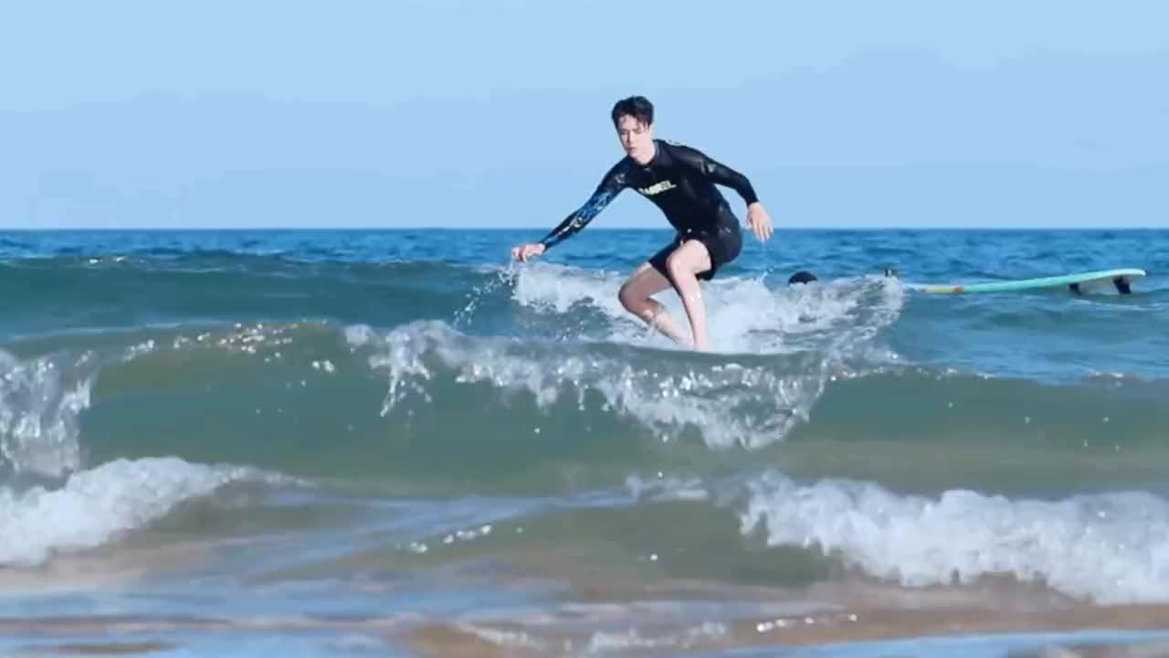 泡沫森林