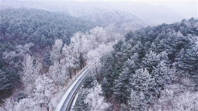 317个爱心驿站情暖返乡路